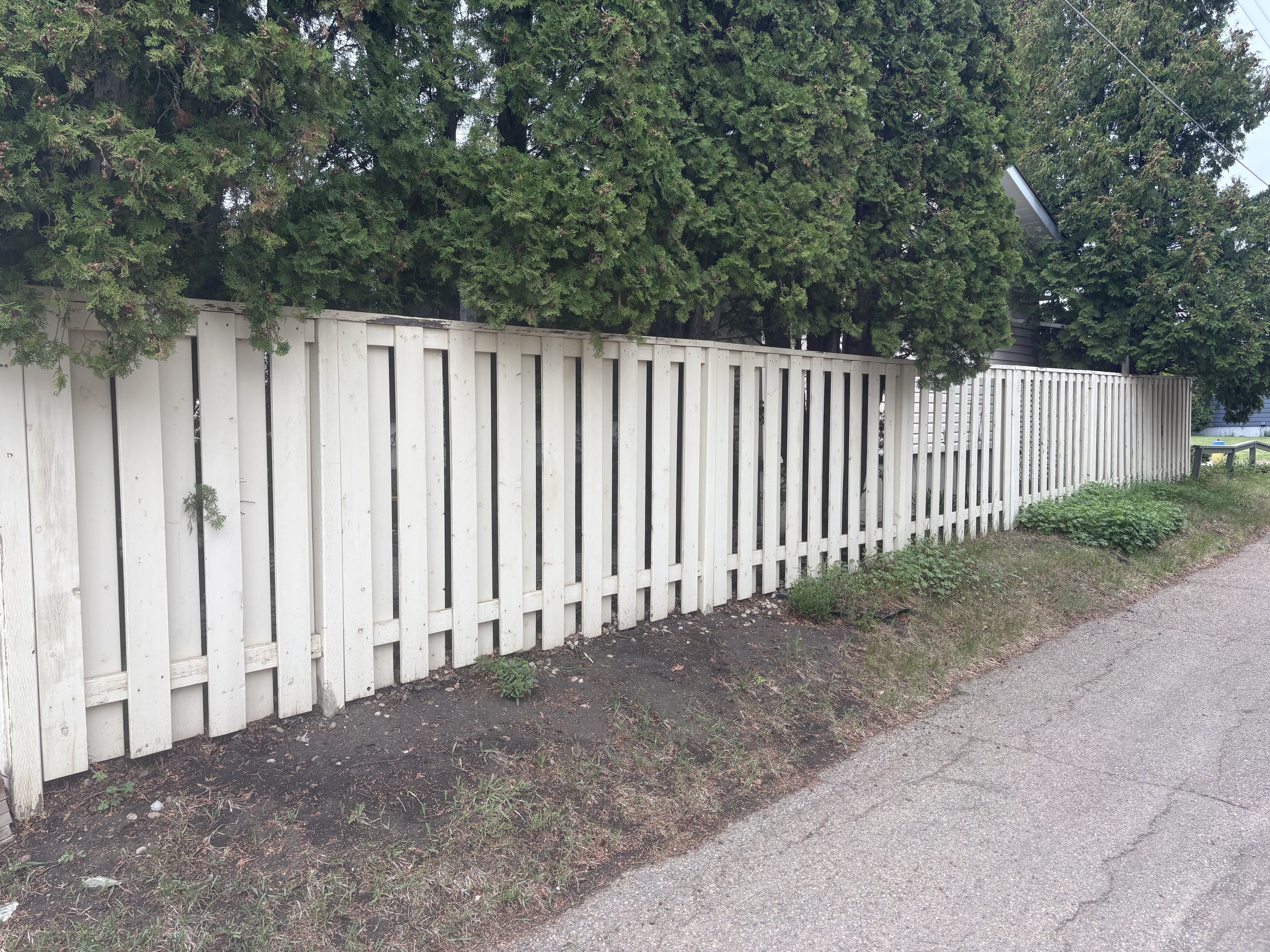 Fence Repaint — 9332 158 St NW